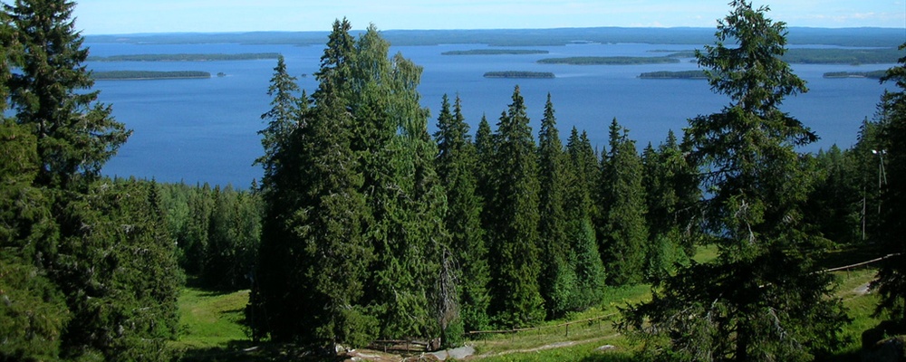 Koli Suomi